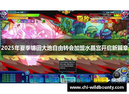 2025年夏季镰田大地自由转会加盟水晶宫开启新篇章