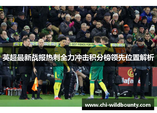 英超最新战报热刺全力冲击积分榜领先位置解析