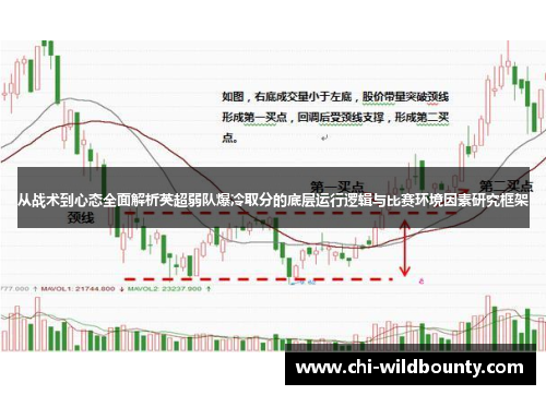 从战术到心态全面解析英超弱队爆冷取分的底层运行逻辑与比赛环境因素研究框架