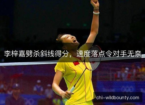 李梓嘉劈杀斜线得分,速度落点令对手无奈 李梓嘉劈杀斜线得分,速度落点令对手无奈